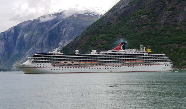 Tracy Arm Fjord, Alaska Cruise Ship Schedule 2020 | Crew Center