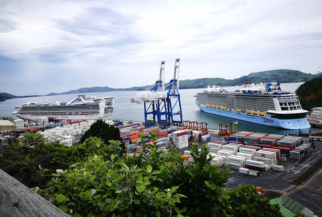 Dunedin Port Chalmers Cruise Ship Schedule 2022 2023 Crew Center