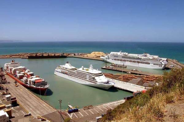 cruise ship port napier new zealand