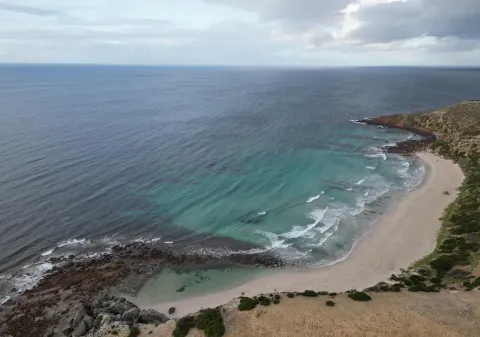 cruise ship arrivals newcastle nsw