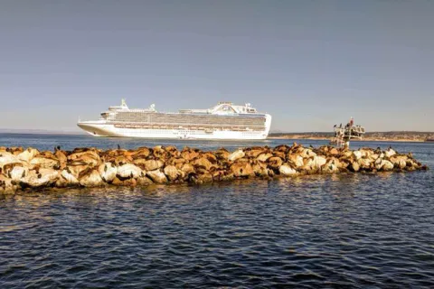 cruise ships arriving in seattle today