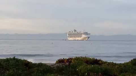 cruise ships arriving in seattle today